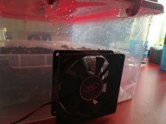IMG_20180322_151127.jpg