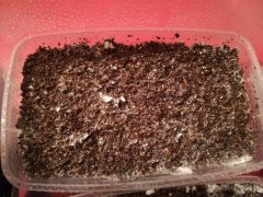 IMG_20180323_181303.jpg