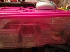 IMG_20180323_211422.jpg