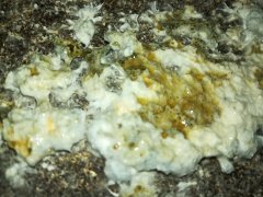 IMG_20180330_185503.jpg