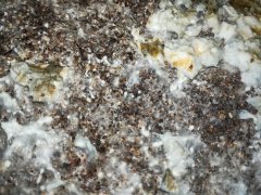 IMG_20180330_185546.jpg