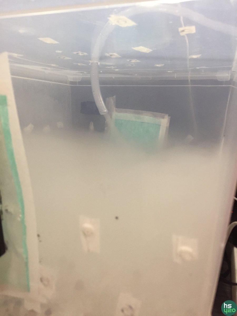 Two grow