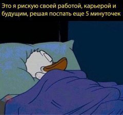 FB6689B9-5F05-4216-9EA9-AFE503D4A94D.jpeg