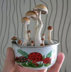 Эстетика GT.