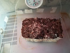 IMG_20180417_072526.jpg