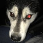 фантазер