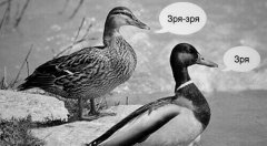 73E3489F-2C1D-4C58-80FC-A699B1AE6ED4.jpeg