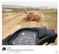 77F9C048-812F-4554-8BA5-06944E2C6841.jpeg