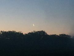 IMG_1255.JPG