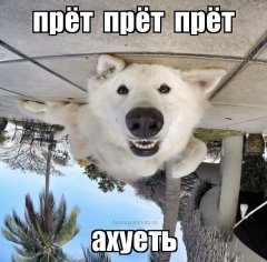 demotivatorium_ru_pret__pret__pret_89953.jpg