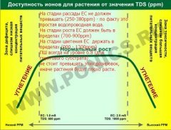 Нужный TDS для роста