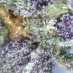 HighJack