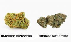 качество.JPG
