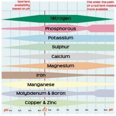 nutrient-solubility.jpg