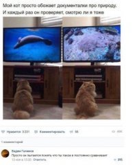 11F6CF59-E8EE-45D1-BC2C-83572850BE96.jpeg
