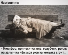 B08618D2-0CD8-47A1-81C5-D7191F23893E.jpeg