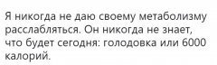 CC1DDCEB-5AEC-4786-8952-702A81A76805.jpeg