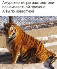 E38ACD1E-4269-472C-BA9A-F86C2C9712A0.jpeg