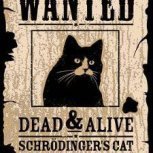 Котейкины ушки