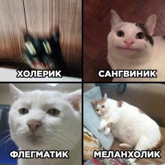 227CFAA9-86E0-4C22-BE0E-E1DC9BB88C8D.jpeg