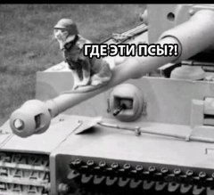 3034EB5E-4724-4664-9330-324F86E2710A.jpeg