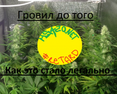 5b6b48c3c013b_12.png
