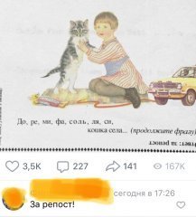 6975FEC7-8811-4FAE-893D-C9D001EAACEF.jpeg