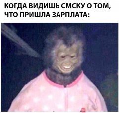 7FBA5D9C-11C8-481E-8BD6-B617B0C2BDE5.jpeg