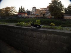 Вечерний сон крепок))