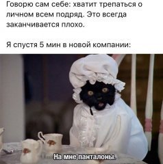 8B516F7C-18D8-4DE4-A7E2-9AA10E30B9DC.jpeg