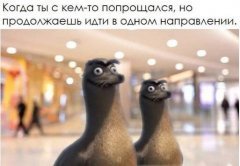 F19D9C31-4200-4B0E-A9C4-19430780F5BB.jpeg