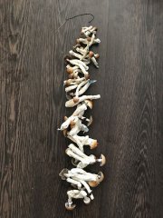 95.jpg