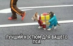 МРИВПНМ.jpg