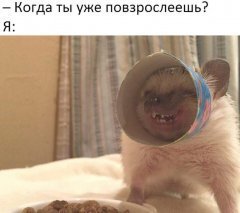 49848370-6484-4997-92A6-99DE47EEF177.jpeg