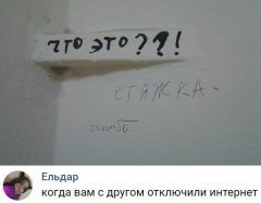 C0F0CA44-A443-4A9E-B5D0-DF4D1B3AE548.jpeg