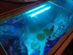 IMG_20181117_232200.jpg
