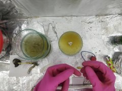 IMG_20181117_232632.jpg