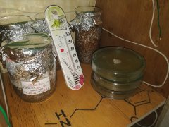 IMG_20181117_232743.jpg