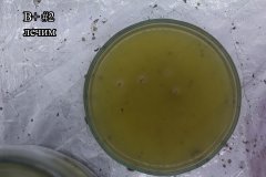 IMG_9480.jpg