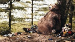 sick-bear-3840x2160.jpg
