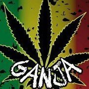 Ganjamaus