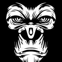 BigMonkeySeeds