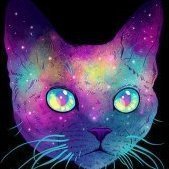 VisualCat