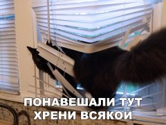 28A8D57F-4ADB-483F-9D35-053B37F6B5C4.jpeg