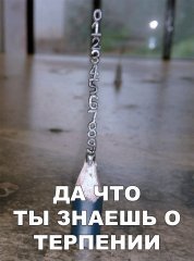2C9071B7-9081-4C9F-BD57-613755F0257B.jpeg