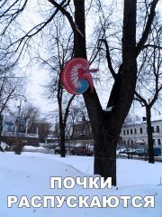 8E1561F1-A767-47B2-AA47-A8CF443B0C79.jpeg