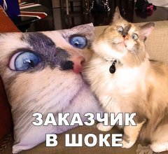FAAF678F-E60D-4DDA-A684-5093CDB8005A.jpeg