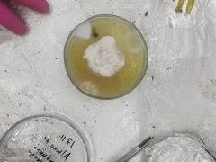 IMG_20181123_220417.jpg