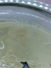 IMG_20181123_221634.jpg
