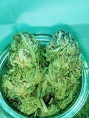 Ubc chemo f.f.